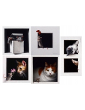 DL-0224 Декупажная карта от Deco-love формат А4