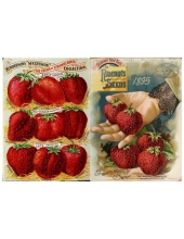 DL-0268 Декупажная карта от Deco-love формат А4
