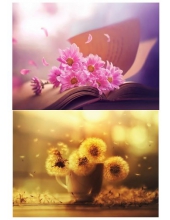 DL-0077 Декупажная карта от Deco-love формат А4